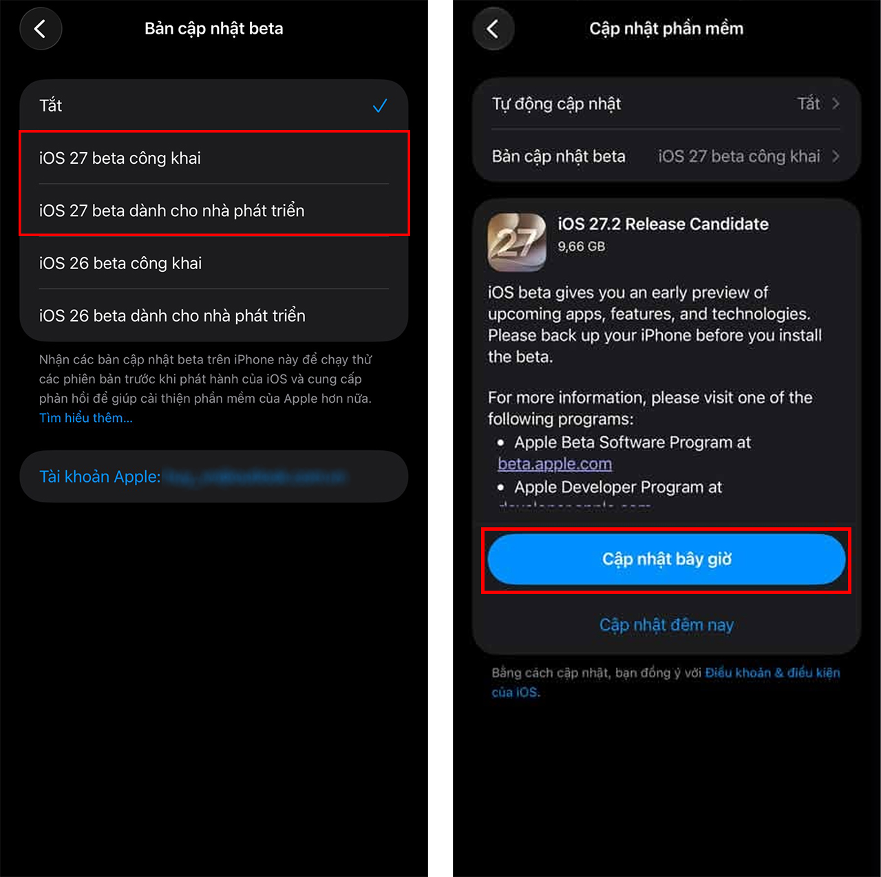 Chọn bản cập nhật Beta và nhấn Cập nhật bây giờ trên iPhone